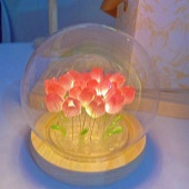 ����ƺ��з�Χ�У�