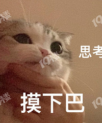 网上热搜“建议35岁之前不要买车买房”,你们赞同吗?