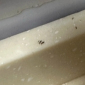 ��������Ҫ��ô���棿