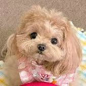 �ٻ�Ϊʲô��ô��