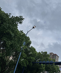 ����10���� �Ƽ��ǵ�·�ƾ�Ȼ�����ţ�����𣿣���