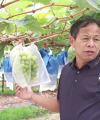 ��������õ������ �۸����߿�һ�� ����ֲ������Ĳ�һ����