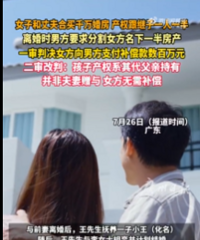女子婚房写继子名离婚险倒贴几百万!