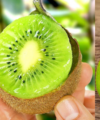 Ӧ���ʹ����ۡ�����