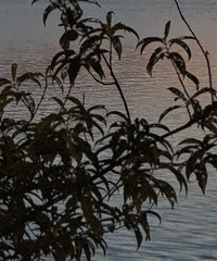 ��Χ�˶Բ�������Ů�Զ���Ϊʲô��ô�󣿣�