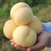 Ӧ���ʹ����ۡ�����