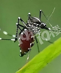 ���������磡�㽭���ؽ������ѣ����������ע�⡭