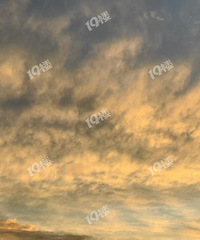 ̨������ϼ���죡�����������ϼ�㿴������