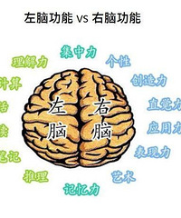 ��ģ����ӵ�������������