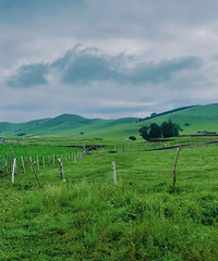 �½�ƽ�棡������ͳ��ԭ�͹������ԭ���и�����ɫ��