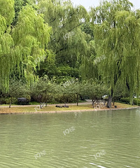 ʵ�ģ�������ձ��� ���¼���ˮλһ���������˲��٣�