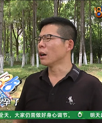 ����"Ѿͷ"�ͼ���"����"����������û����������˵Ů�������ա�