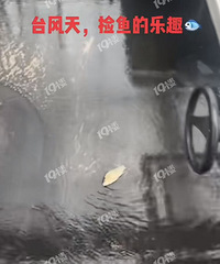 ����Խ����Խ��̨������·�϶��ܼ�����...