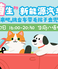 嘉兴夏季新能源车展来袭!