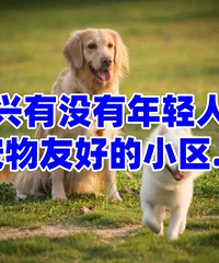 ������û�������˶࣬�����Ѻõ�С����