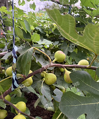 ���Ǿ���ס�����������������������ѣ��ؼ�Ҫ�ܵ㵽������