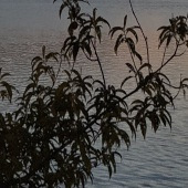 ͬ��û�б߽��