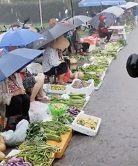 ��Ǯ���װ���������ð���ɡ���ˡ�