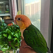 97���а��ĵ�δ����