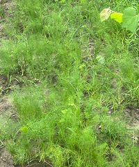 ����Ҳ̫�ܳ��˰ɣ���һ�Σ�һ��Բ�������Բ���о���