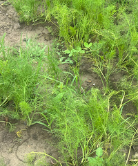 ����Ҳ̫�ܳ��˰ɣ���һ�Σ�һ��Բ�������Բ���о���