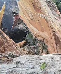 ����һ��˹��ʧ���ˣ�·�ߴ���������ײ�ϣ���ͷ�������ϡ�