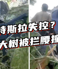 ��ͷ�������ϡ�