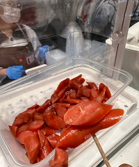 ��ĩȥͩ��������Թ��˹� ����ܲ��������������Ŀ쿪����