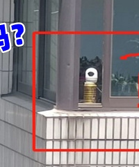 ����̽ͷ�𣿾���ôֱֱ�����Ҽ�...