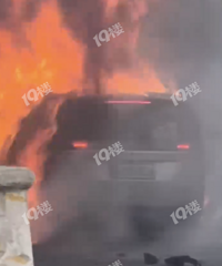 һ����F������MEGA�ں��ݸ߼��ϱ�ײ�����𣡳�����Ӧ��