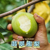 Ӧ���ʹ����ۡ�����