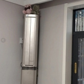 ��������ʽ�յ�����