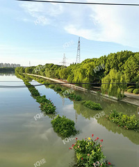 ̫�������ˣ����˺Ӵ����µ�ˮ��ֲ�￪���ˣ�