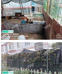 һ����Ϳ�������Ĳ�Ǩʾ��С�� ������ҳ���������ӡ�