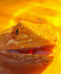 �о��������첻̫�ȣ���������ֻ���������յ�