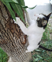 �о��������첻̫�ȣ���������ֻ���������յ�