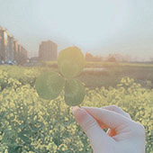 88��ŮʿѰ��Ե��