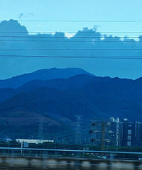 94������185 ��רѧ����ͨͩ������Ů��