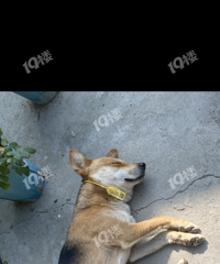 �·��˽������˿���������������