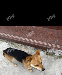 �·��˽������˿���������������