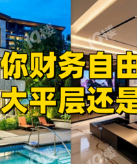 ��ƽ��vs�������