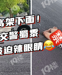 ���˸߼��¾��������ɵء�