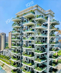 ���Ĵ�סլ���Ǽ���������Ļ�...