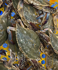 �ϰ����ѣ������Ļ� ����º�����ˣ�