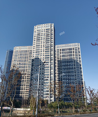 �ǲ��Ƿ�����Ҷ������߲�סլ¥��Ϊʲô�أ�