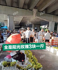 才三块钱一斤!阳光玫瑰今年噶便宜?