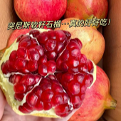 38Ԫ����5��ʯ��