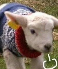 2017��-2022��֮���򷿵���ͨ�ˣ��ǲ����Ⱳ�Ӷ��������ˣ�