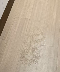 地板莫名其妙往外冒水!同一个位置!
