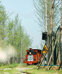 �����������ۣ���Ȼ�����ڼ�������ģ�����̫�����Ķ��ˡ�